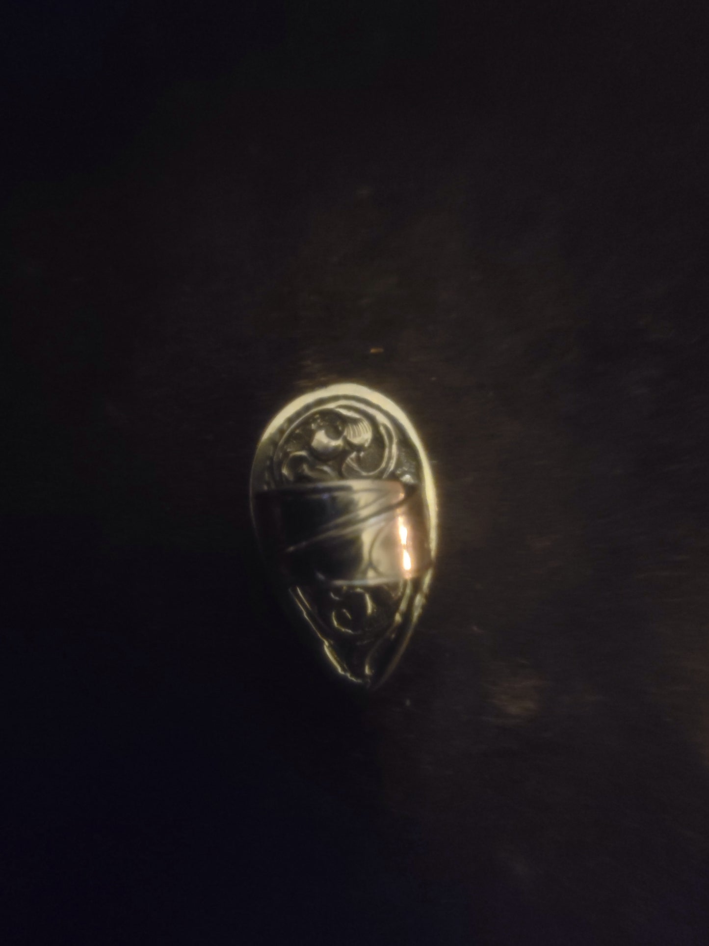 Medium Buffalo Ring
