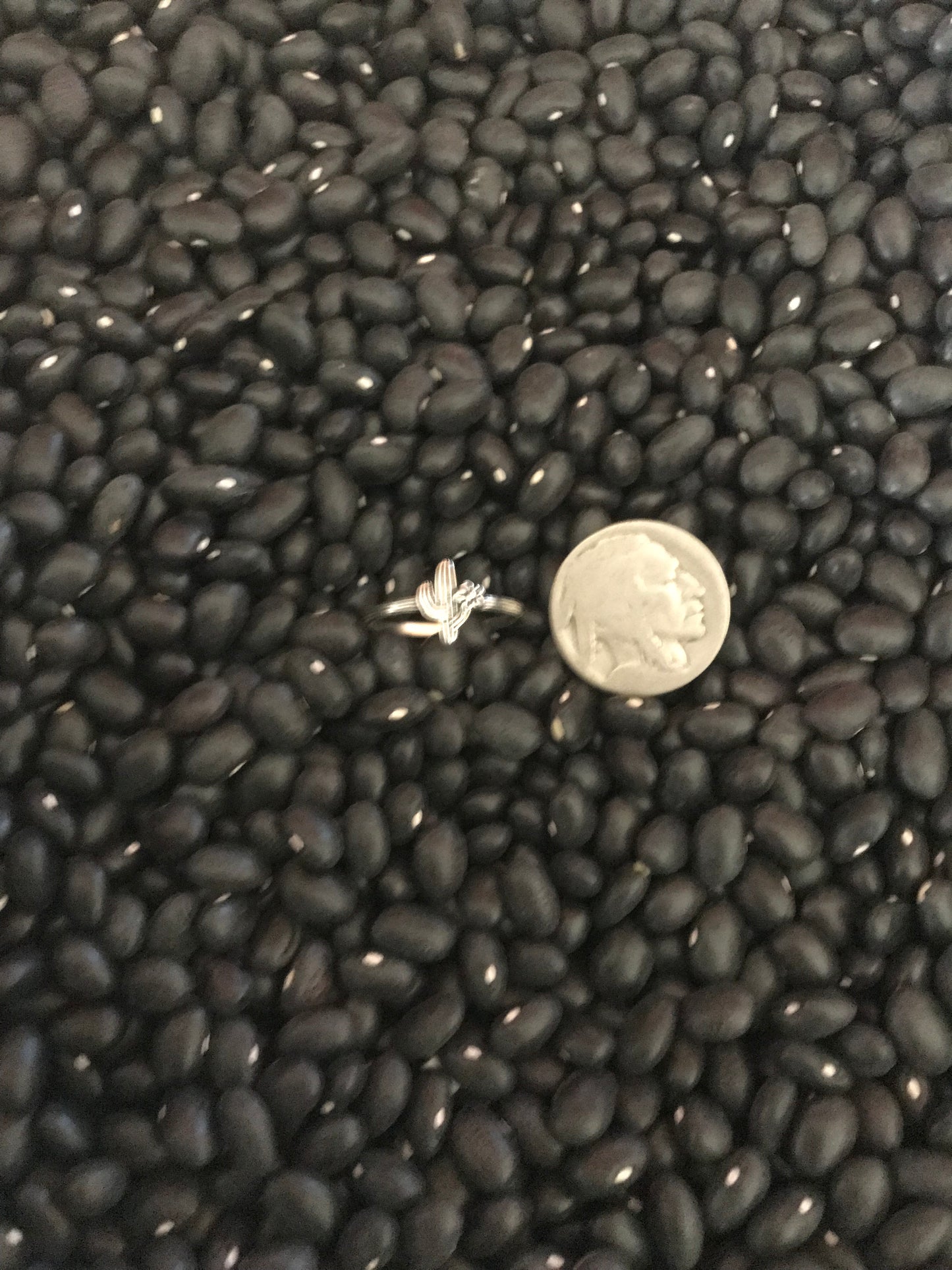 Small Cactus Ring w/flower