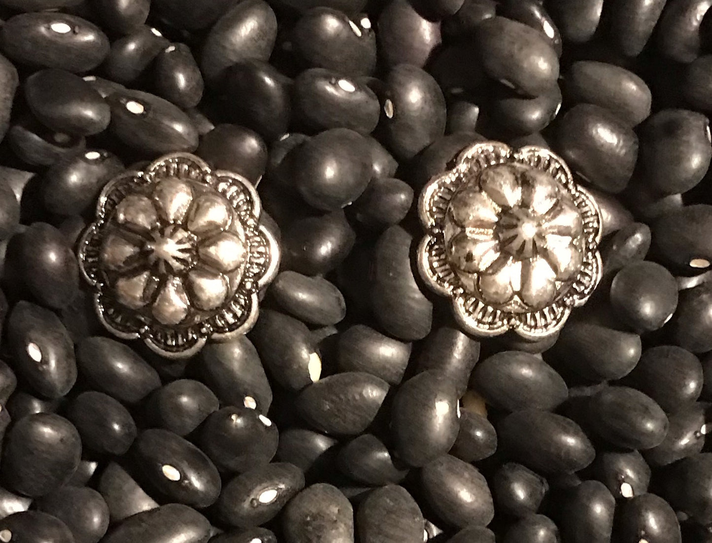 Medium Conch Earrings