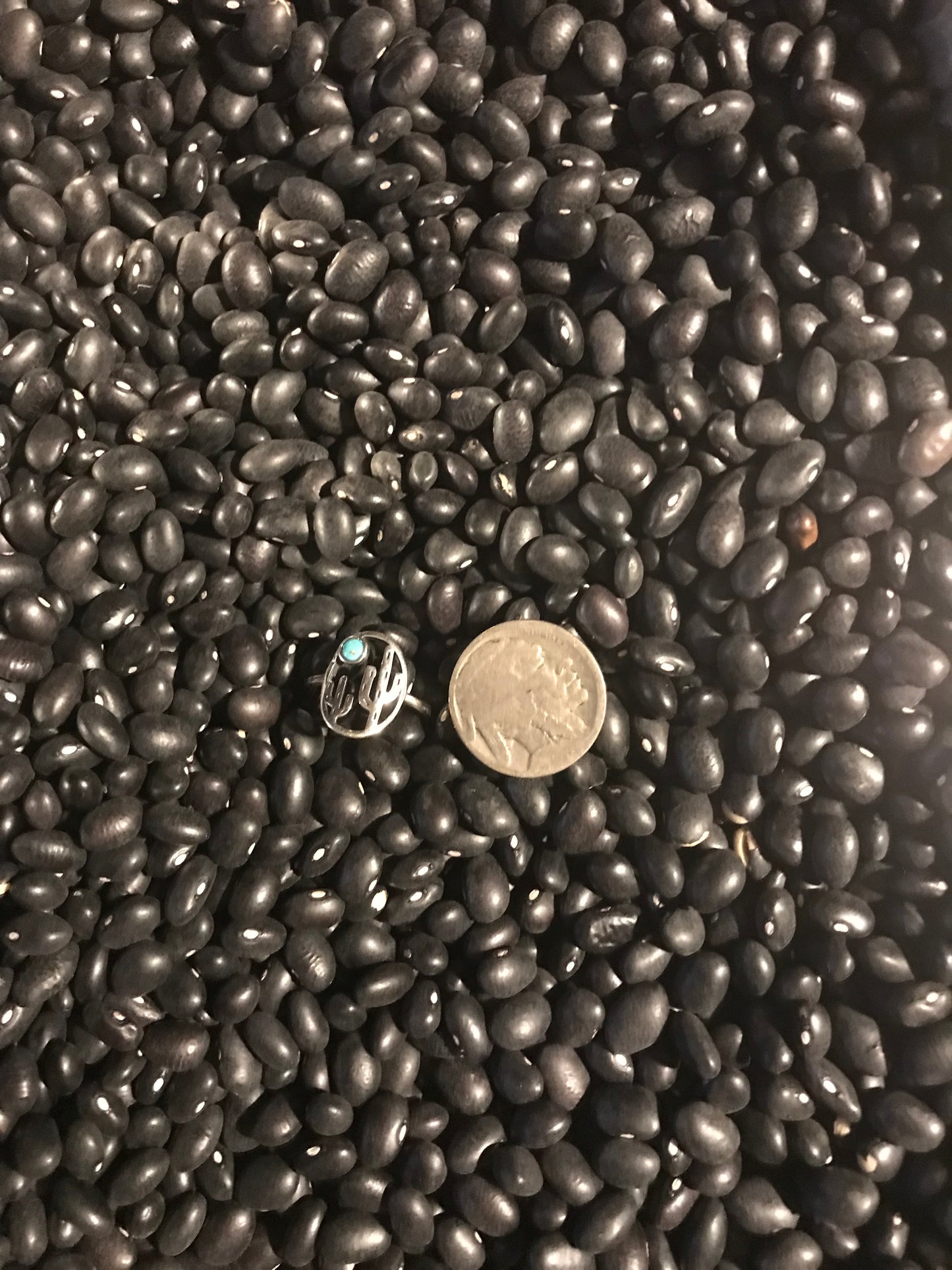 Dbl Cactus Ring w/stone