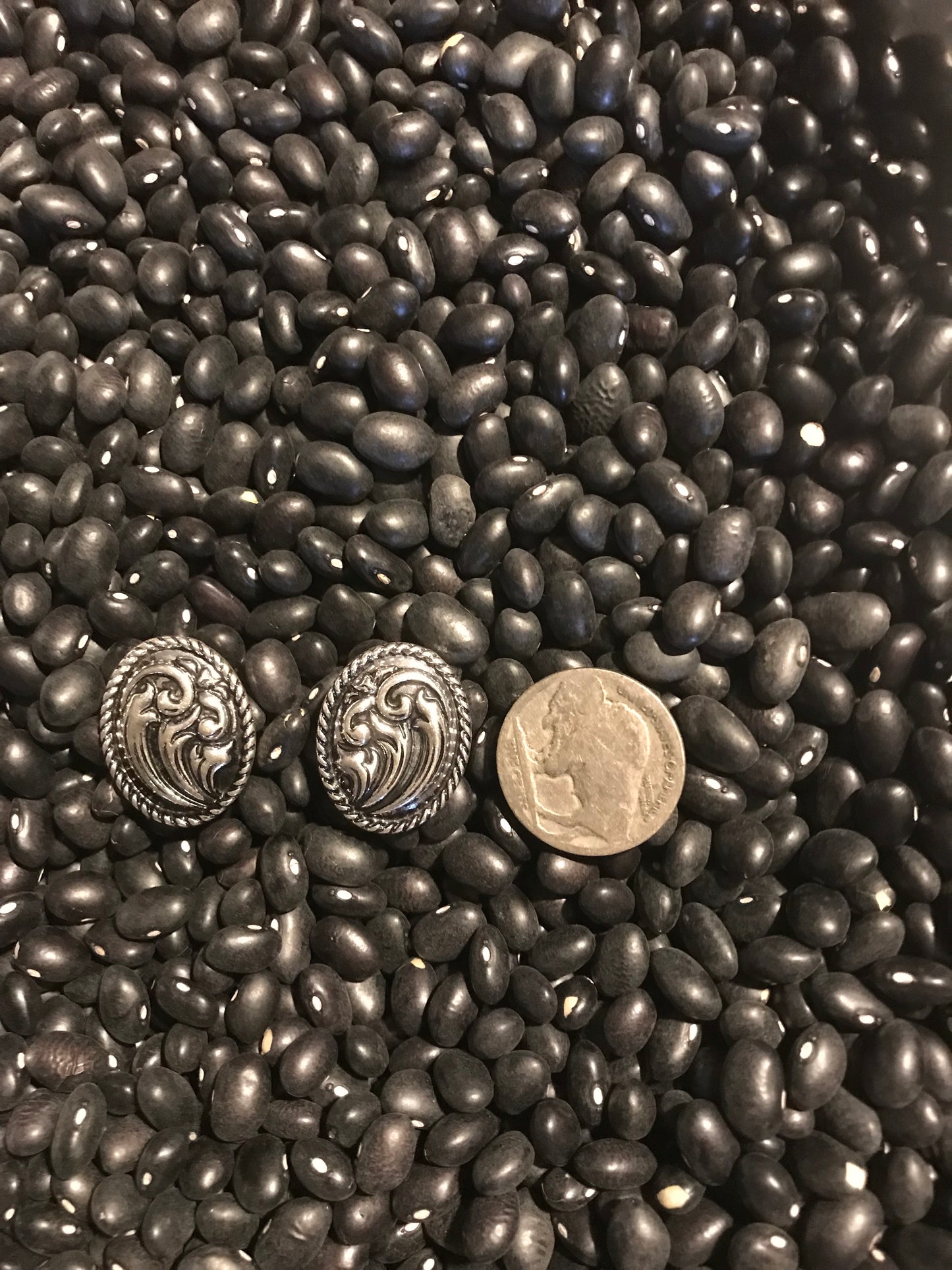 Oval Concho Earrings