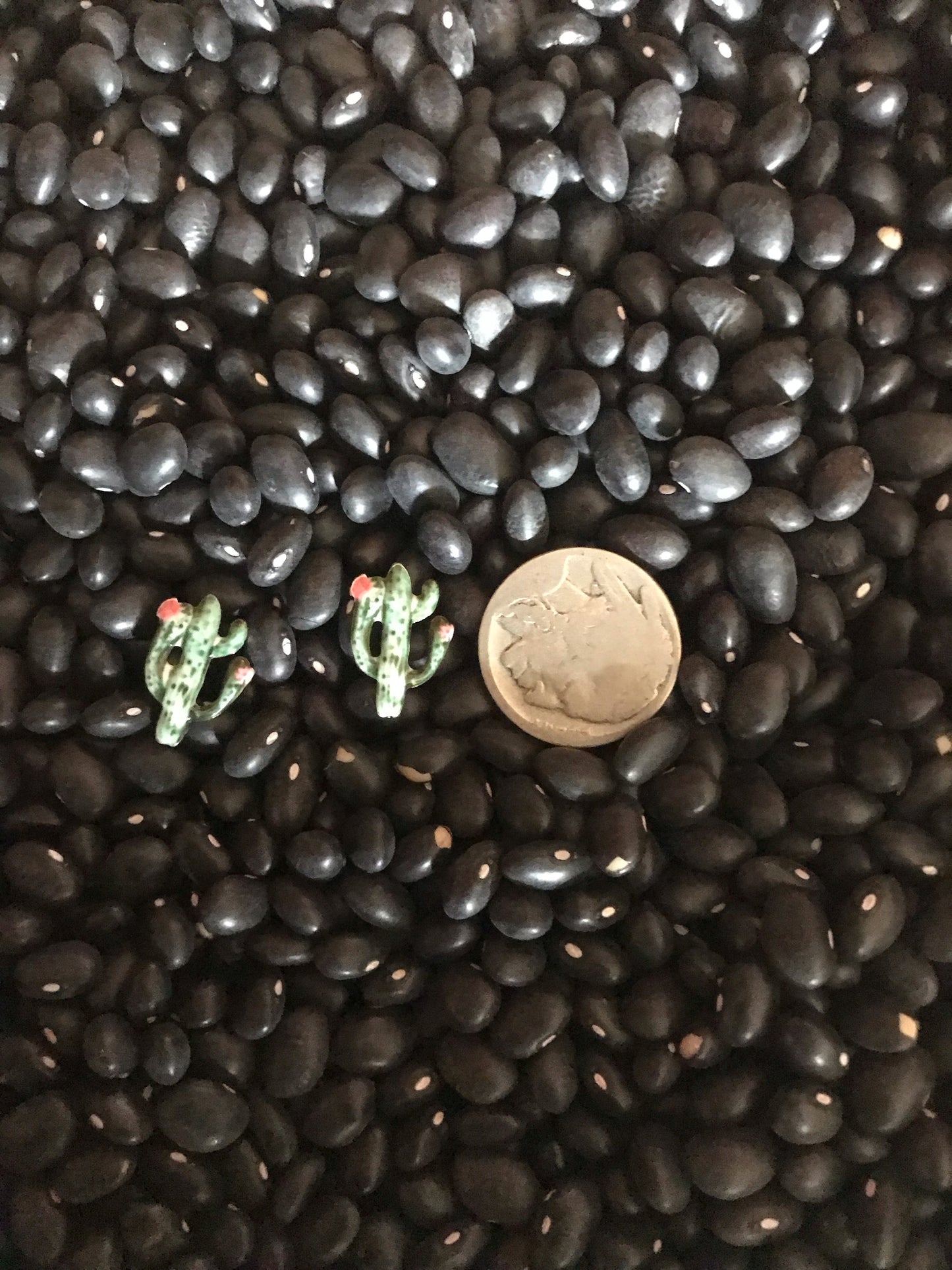 Cactus Earrings