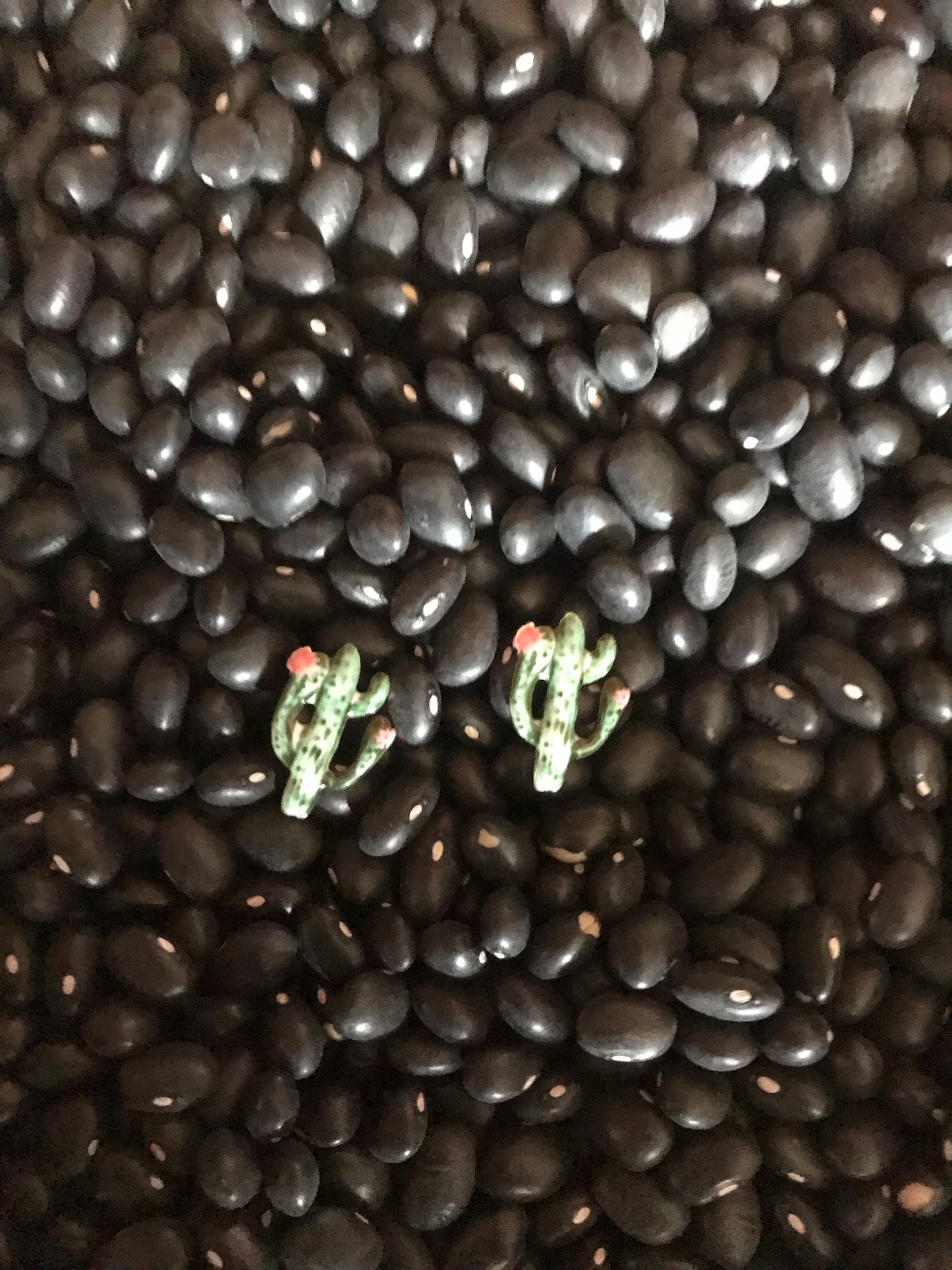 Cactus Earrings