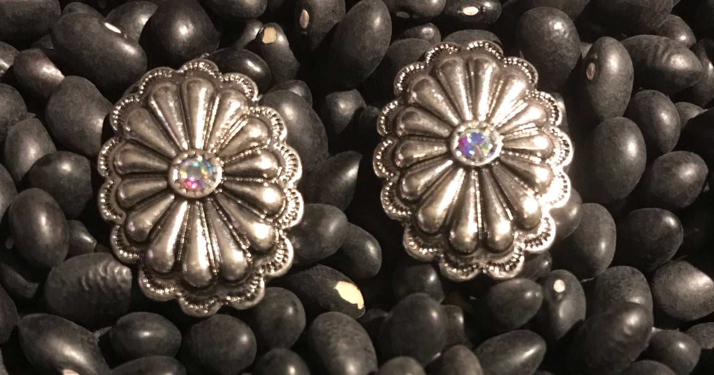 Large Crystal Center Earrings