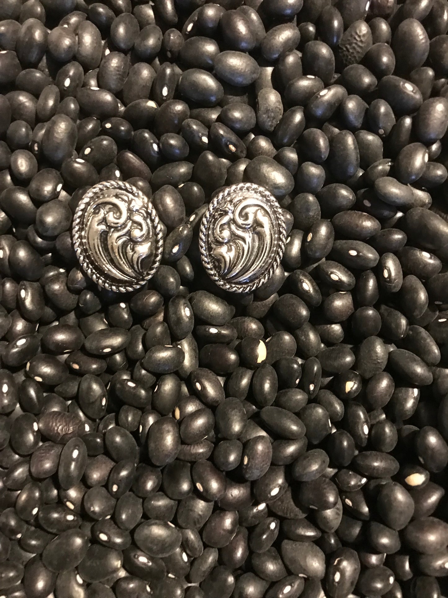 Oval Concho Earrings